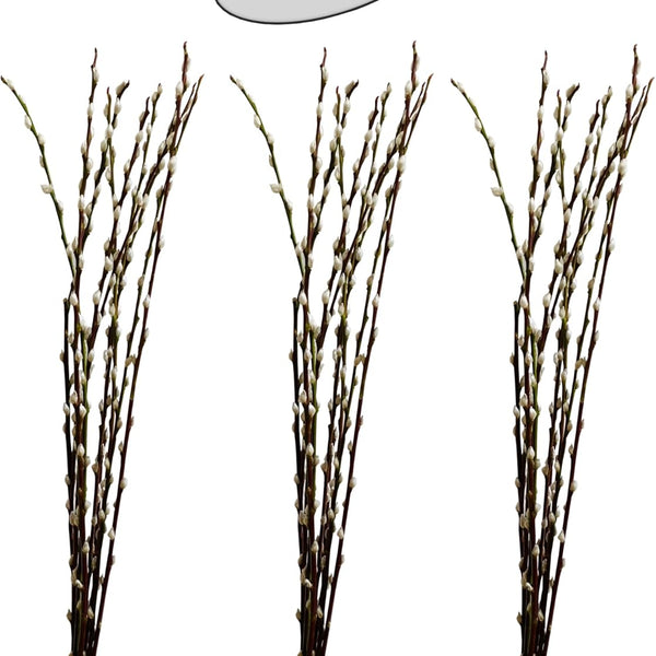 natürlicher WEIDENKÄTZCHEN Bund 70cm. Hochzeitsdeko Osterdeko Frühlingsstrauß