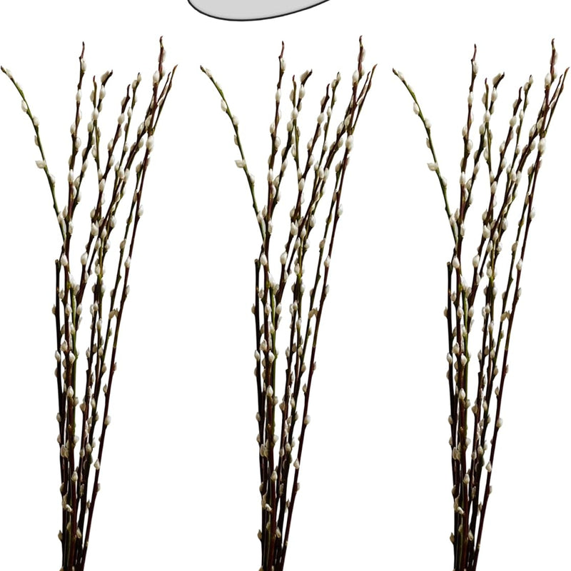 natürlicher WEIDENKÄTZCHEN Bund 70cm. Hochzeitsdeko Osterdeko Frühlingsstrauß